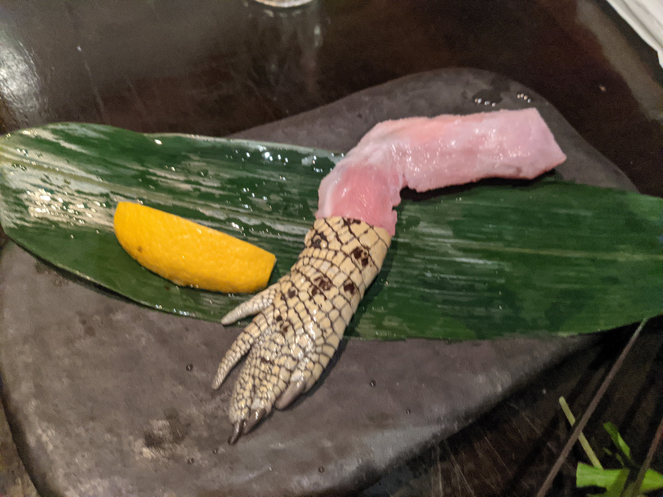 ワニの肉を札幌で食べる 内臓天国 に行った話 みんな重力のせい